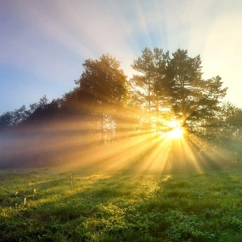 daylight